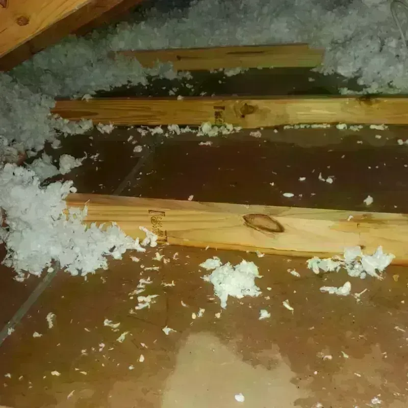 Attic Water Damage in Logan, OH